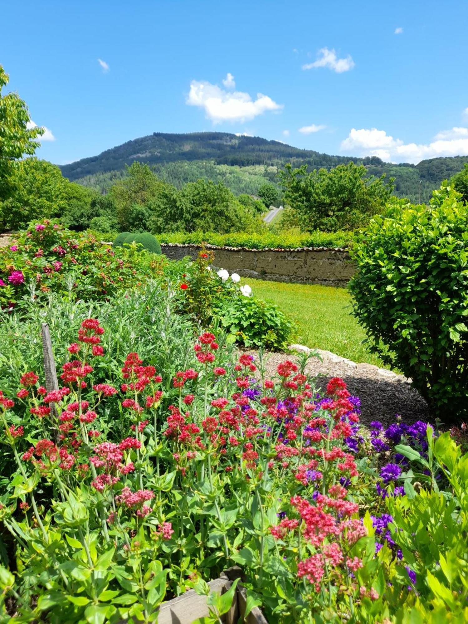 Le Jardin De Chignore Vollore-Ville Extérieur photo